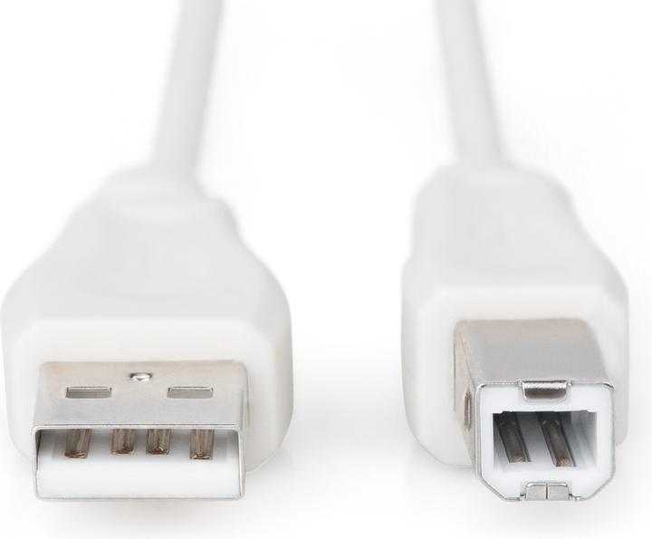 Image du produit Digitus Câble de connexion USB (1.80 m, USB 2.0)