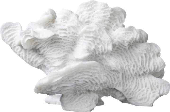 Immagine prodotto Mette Ditmer Coral (13 x 24 x 16 cm)