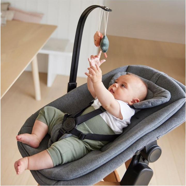 Produktbild Hauck Highchair Bouncer Mobile Bear