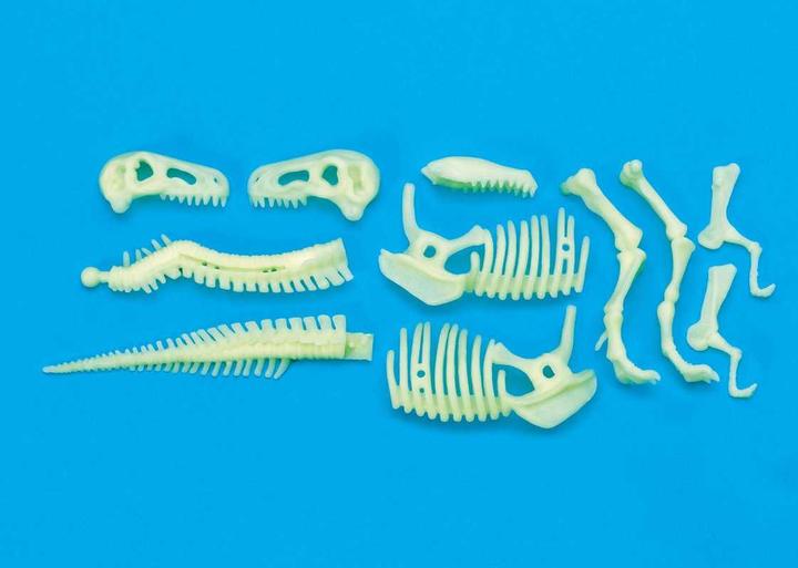 Immagine prodotto Brainstorm Scheletro di T-Rex che brilla nel buio