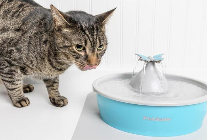Image du produit PetSafe Fontaine pour animaux de compagnie Drinkwell® Butterfly (1.50 l)