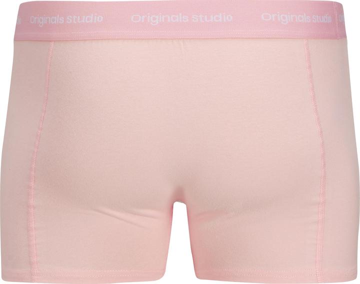 Actual product image Jack & Jones Shorts Shorts (XXL, 5-pack)