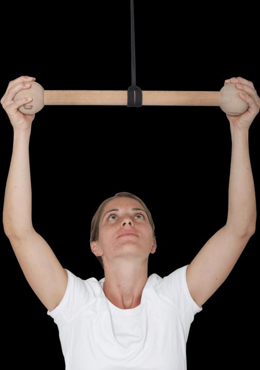 Actual product image Pedalo Pull-up bar ball handle for climbing training and lat pull-up