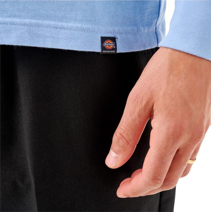 Actual product image Dickies Tom Knox Longsleeve (S)