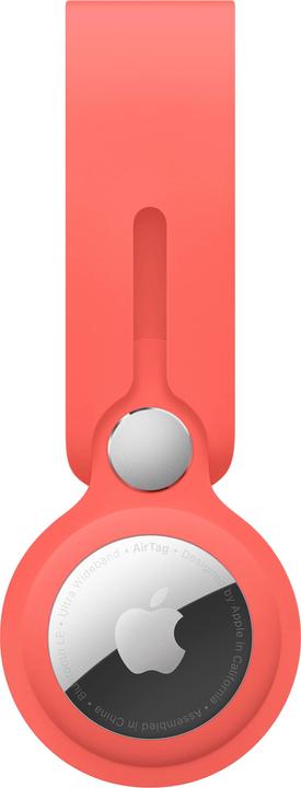 Immagine prodotto Apple Loop AirTag