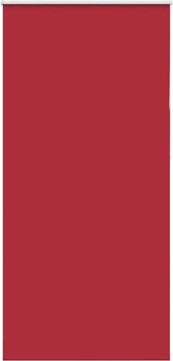 Rot