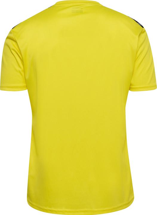 Image du produit hummel Hmlauthentic Pl Jersey S/S (XXL)