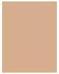 Immagine prodotto Sisley Phyto Complexion Nude No 3W1 (3W1 Mandorla calda)