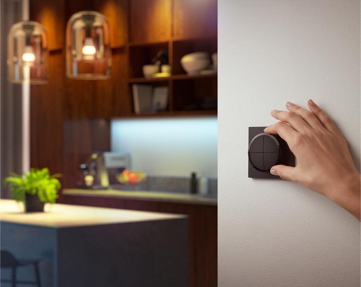 Actual product image Philips Hue Tap dial switch