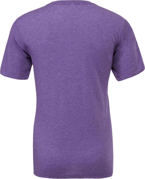Actual product image Bella Canvas Canvas triblend short sleeve TShirt (XS)
