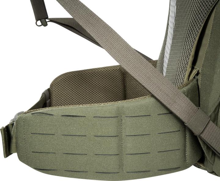 Produktbild Tasmanian Tiger TT Molle Hip Belt Olivgrün