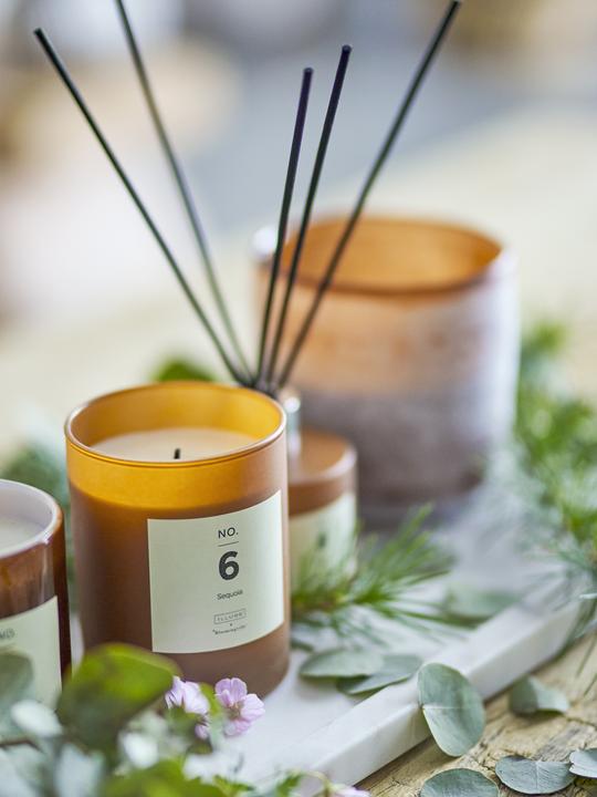 Produktbild Illume x Bloomingville NO. 6 - Sequoia (210 g)