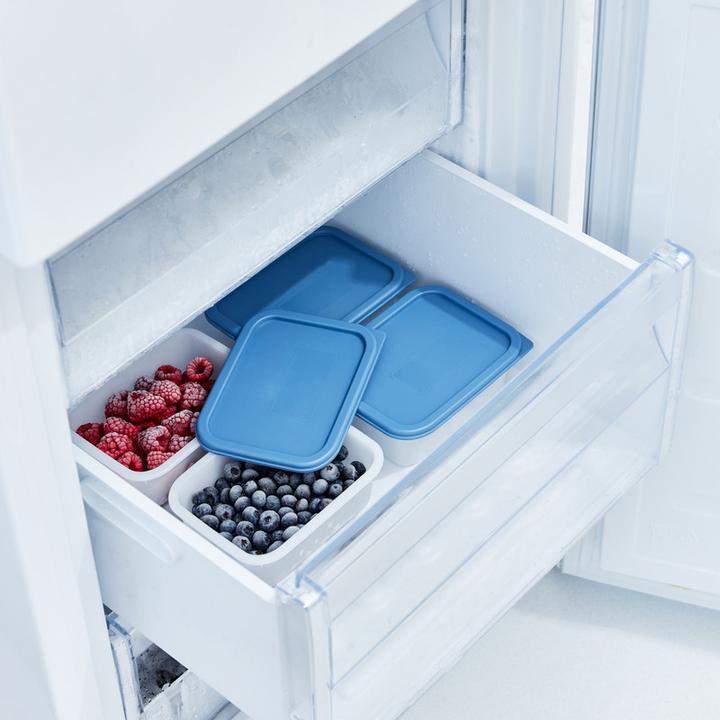 Immagine prodotto Rotho Gefrierdosen Set (0.50 l)