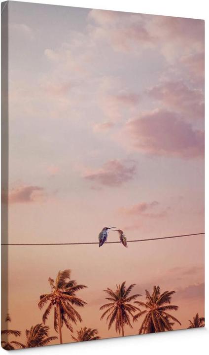 Produktbild Trenddeko Hummingbirds in Love (70 x 100 cm)