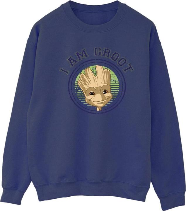 Guardians of the Galaxy Groot Varsity Sweatshirt (M)