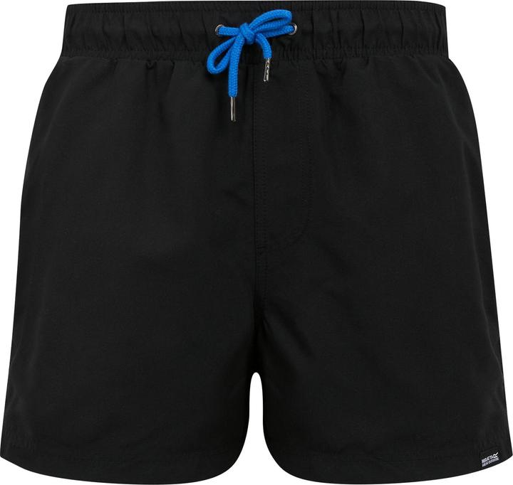 Produktbild Regatta Mawson II Kurze Hose (L)