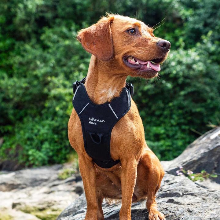 Actual product image Mountain Paws Dog Harness, Extra Large, Black (Dog, General)