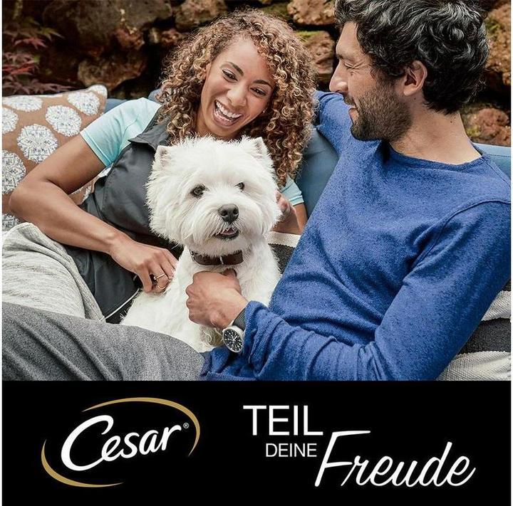 Actual product image Cesar Senior Multipack (Senior, 3 pcs., 1200 g)