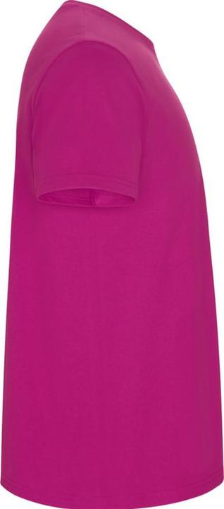 Actual product image Alpinia Mens Stafford T-Shirt (L)
