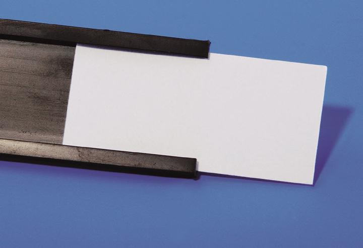 Actual product image Magnetoplan Magnetic C profile (1 x)