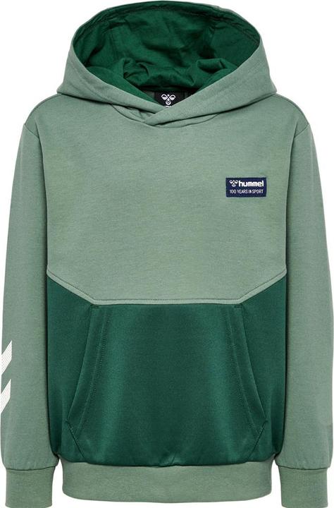 hummel hmlEDDY HOODIE (128)
