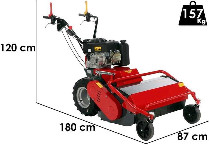 Produktbild Benassi TR 800 Professioneller Hammerrasenmäher B und S 3125E