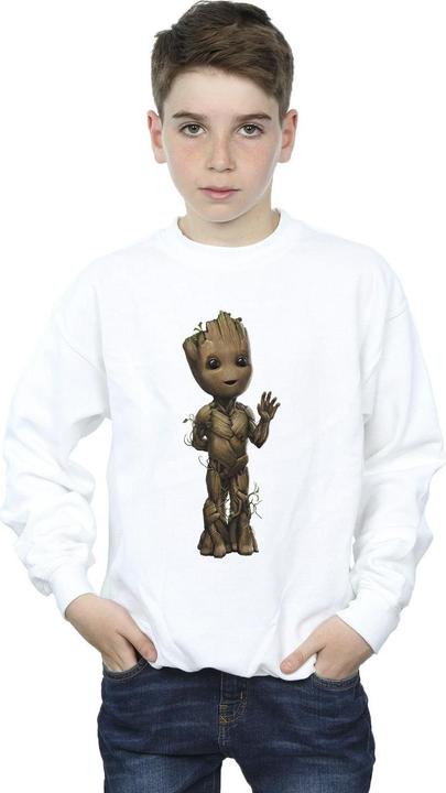 Produktbild I Am Groot Wave Pose Sweatshirt Jungen (152, 158)