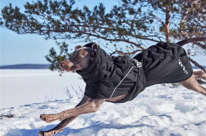 Immagine prodotto Hurtta Scaldino Estremo V3 Eco Nero, 35 cm (35, Cappotto per cani)