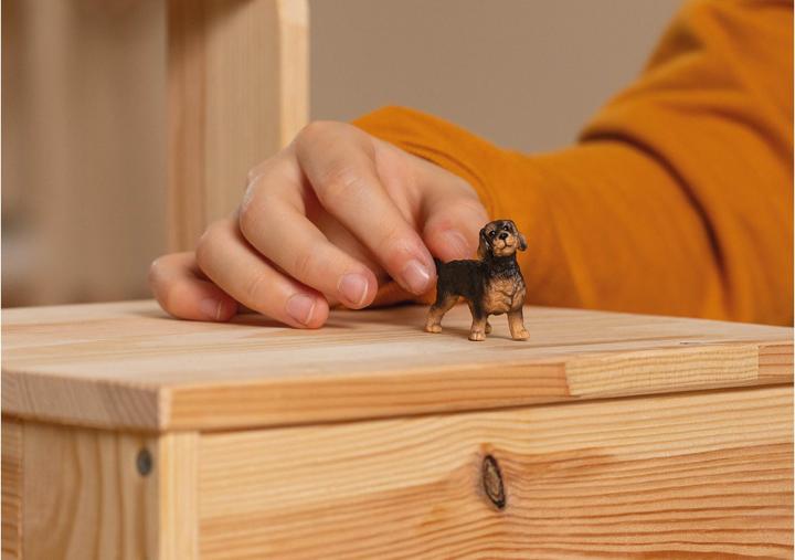 Image du produit Schleich Teckel à poil dur