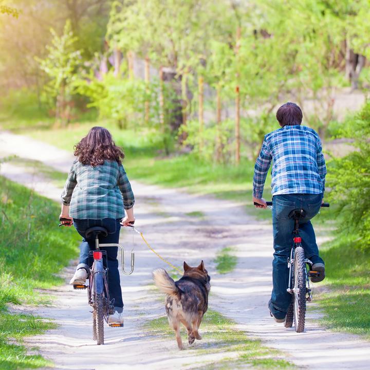 Actual product image Relaxdays Bicycle leash (One size, Dog, Pushbike)