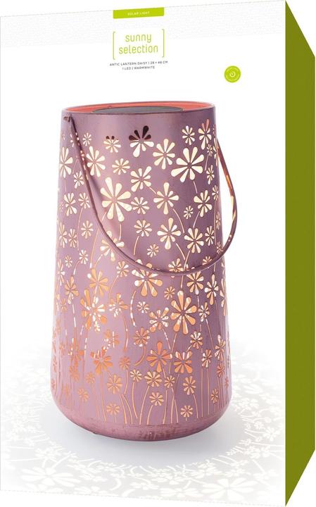 Produktbild STT Daisy