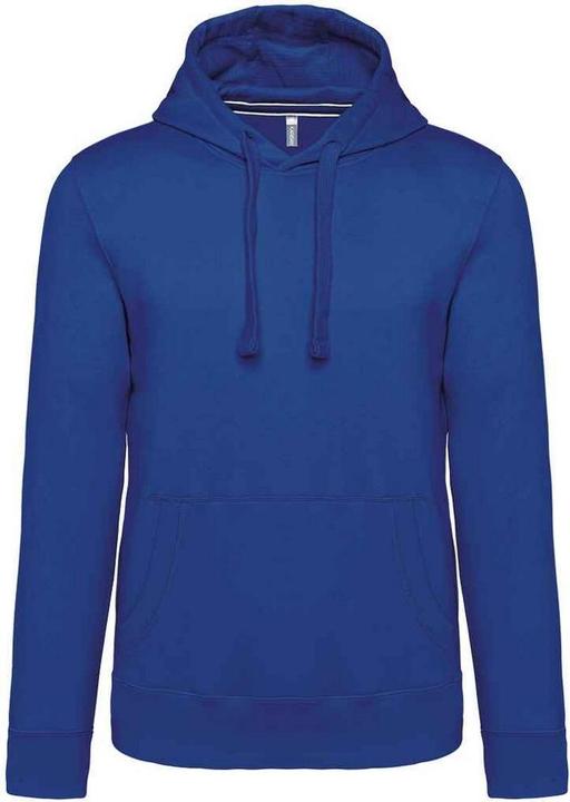 Light royal blue