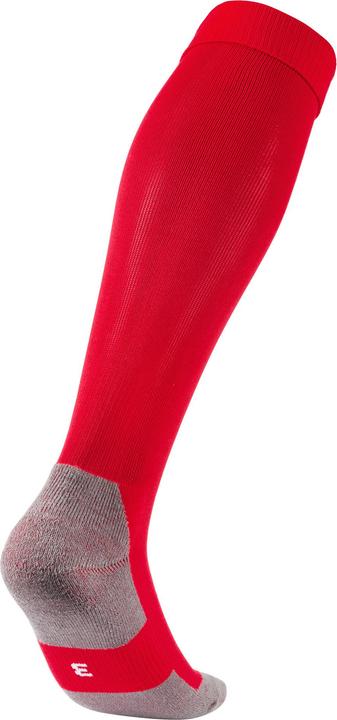 Actual product image Puma Team LIGA Socks CORE-703441 (39, 42)
