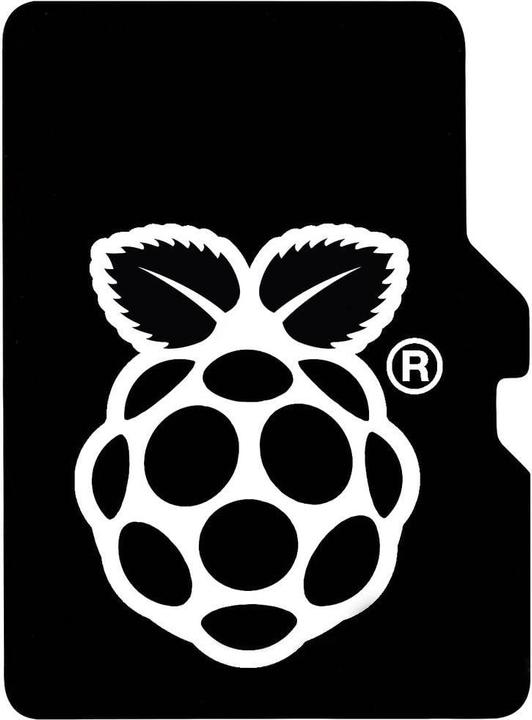 Image du produit Raspberry Pi Carte Micro SD(HC) - 32GB Class 10 / A2 (Sans adaptateur)