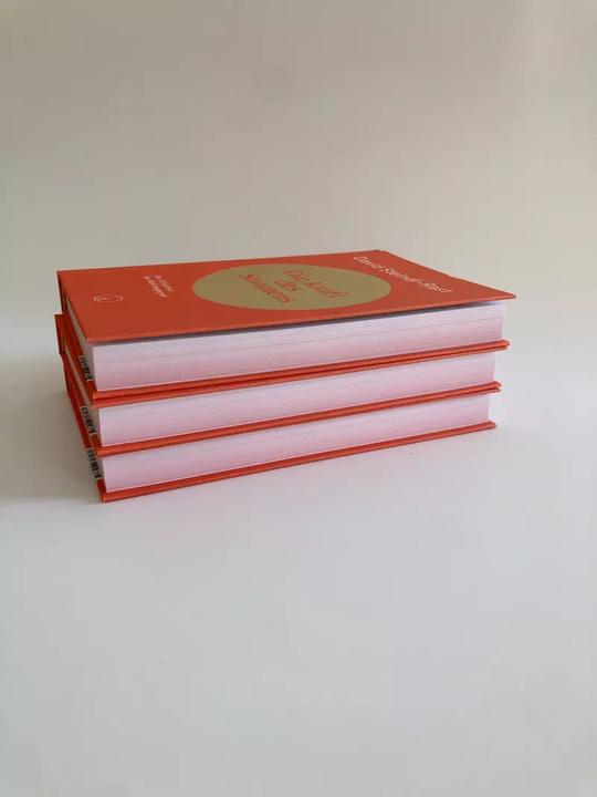 Image du produit Die Kraft des Staunens (Allemand, David Steindl-Rast, 2022)