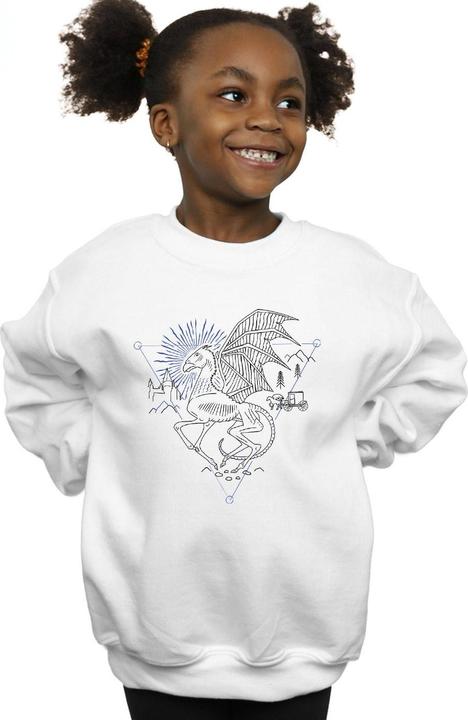Image du produit - Sweat THESTRAL LINE ART - Fille (152, 158)