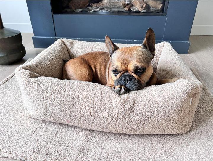 Image du produit Laboni Lit pour chien Classic Teddy S (Chien)