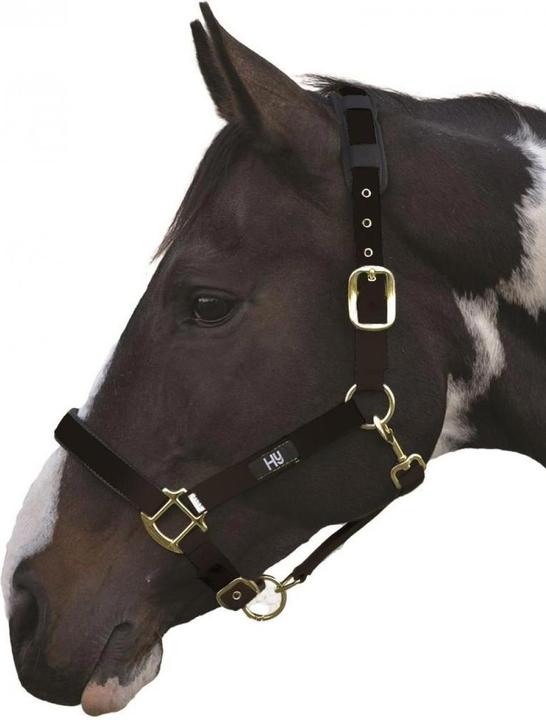 Hy Health Hy Deluxe Halfter Gepolstert