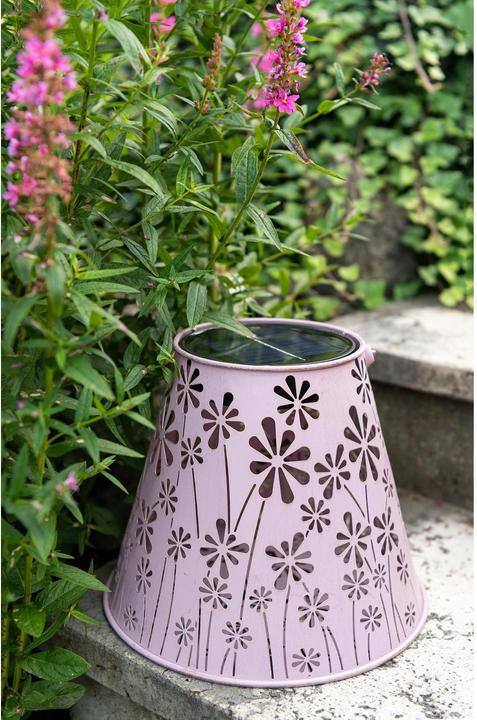 Image du produit STT Daisy