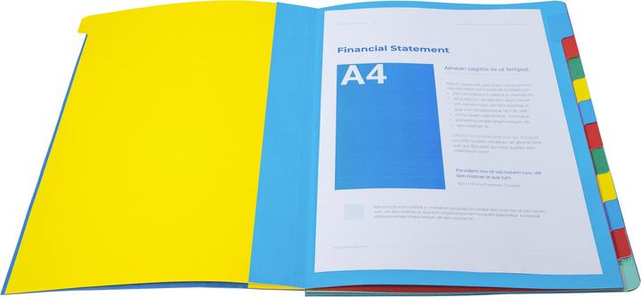 Productafbeelding Exacompta HARMONIKA - A4 dossiermappen (A4, 1 x)
