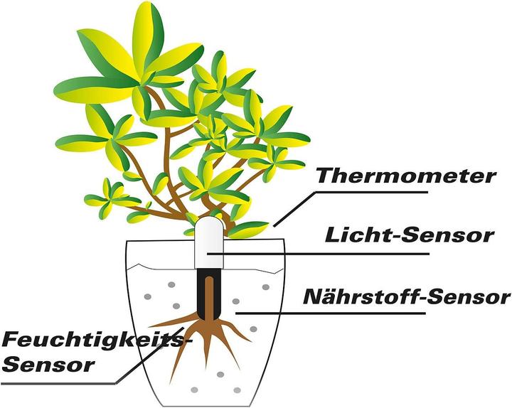 Actual product image Royal Gardineer 4in1 plant sensor (Irrigation sensor)