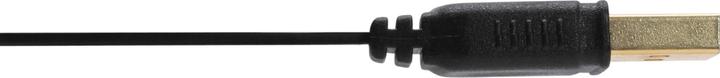 Actual product image InLine USB type A - Mini USB B (1 m, USB 2.0)