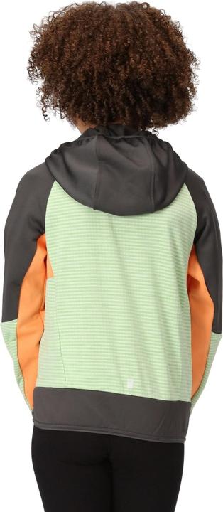 Produktbild Regatta Prenton II Softshelljacke mit Kapuze (104)