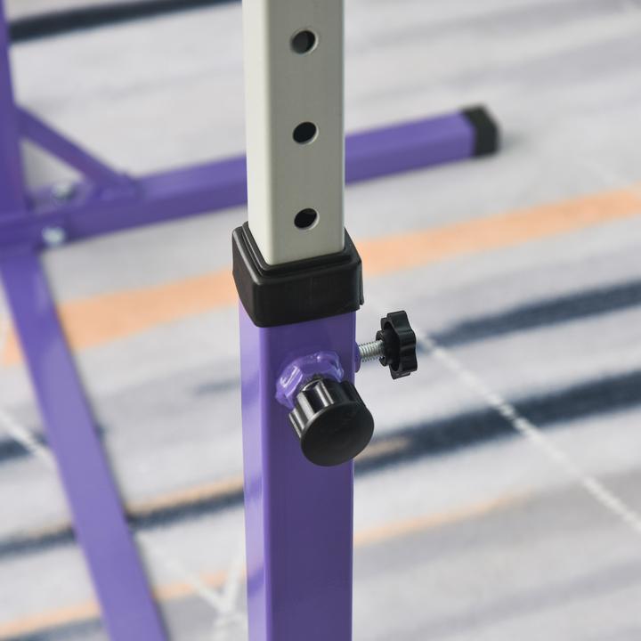 Image du produit Homcom Gymnastik-Turnreck Stahl, Buchenholz Violett
