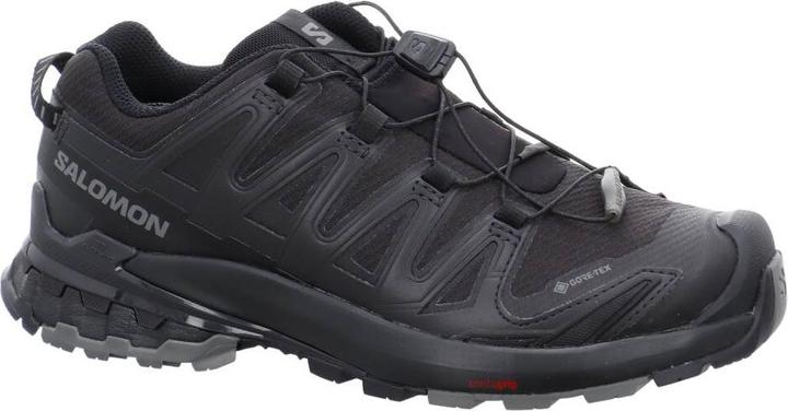 Actual product image Salomon XA PRO 3D V9 GTX - 60357 (41 1/3)