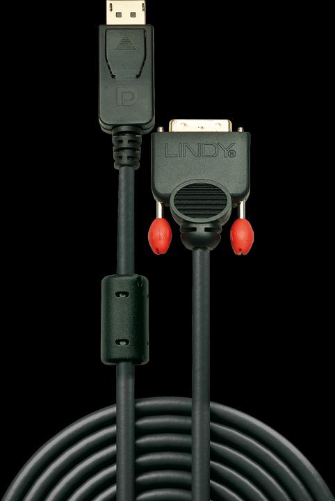 Immagine prodotto Lindy DisplayPort — DVI (0.50 m, DVI, DisplayPort)