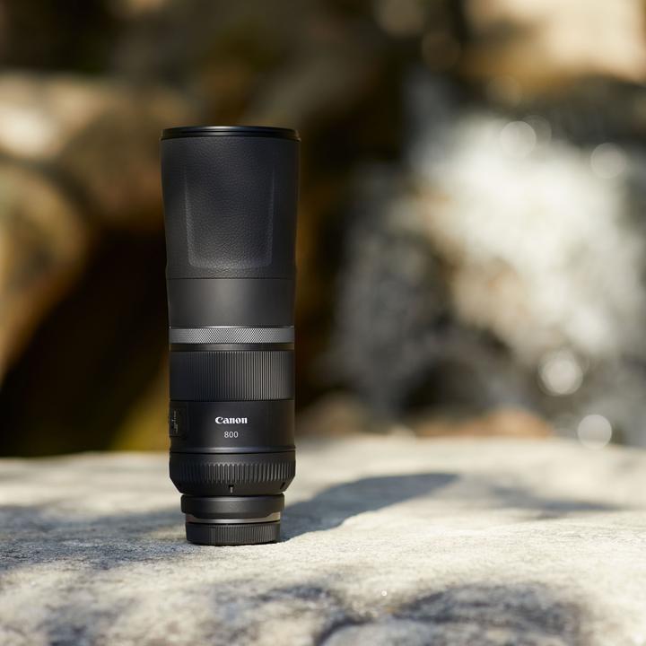 Produktbild Canon RF 800mm f/11 IS STM (Canon RF, Vollformat)
