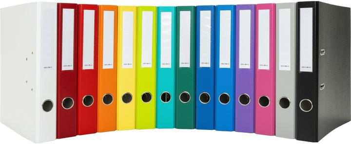 Actual product image Office Folder (A4, 40 mm, 1 Piece)