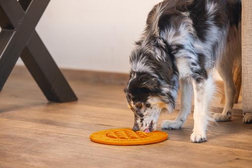 Actual product image Beeztees Sunflower lick mat