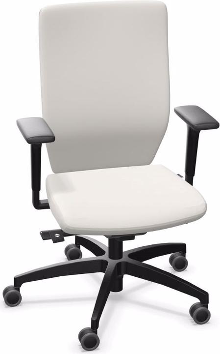 Dauphin ST 6855